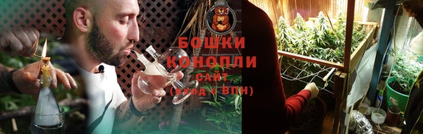 гидра Дмитриев