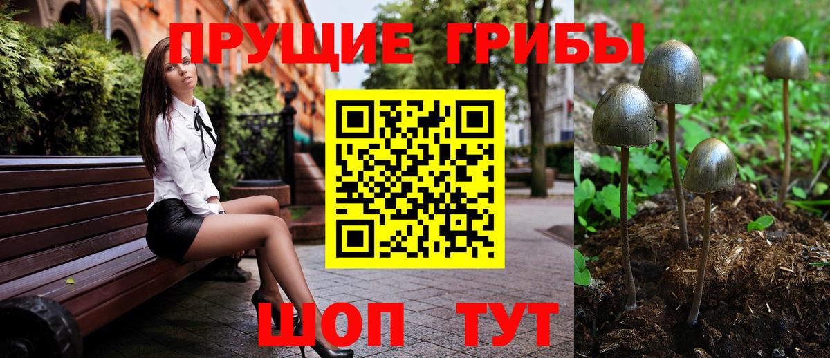 Псилоцибиновые грибы ЛСД  Вход с VPN  Сегежа 