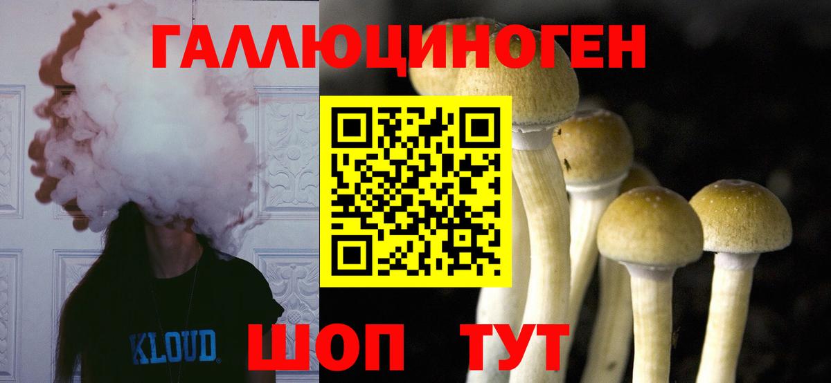Псилоцибиновые грибы Psilocybine cubensis Сегежа